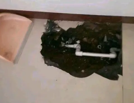 若羌卫生间测漏水多少钱
